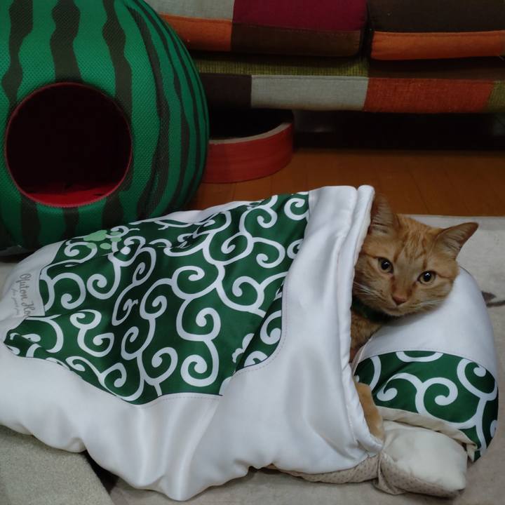 Ccb2dc20 30f7 42a8 bcfa a000204891e1 1642254867231