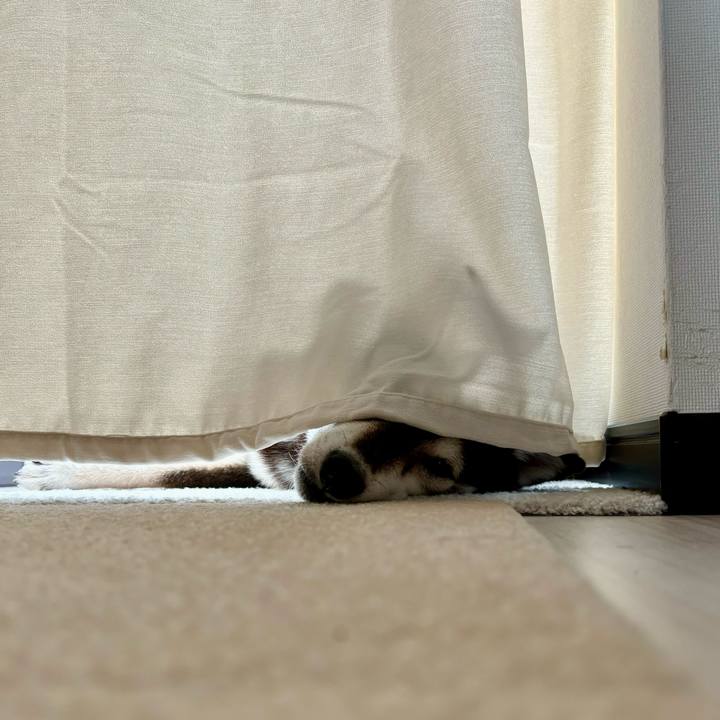 Ccb2f0f6 662a 4d5e ae9c 55d446b35a69 1718879281314