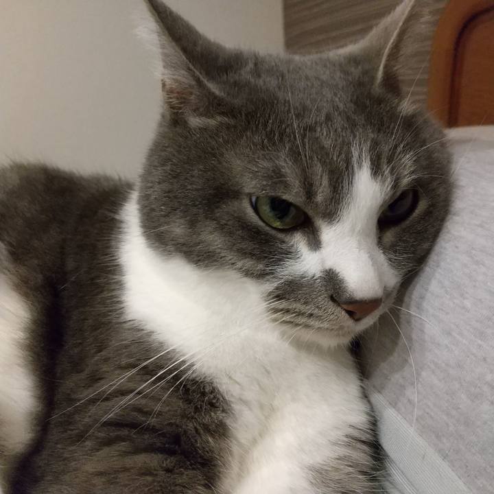 Ccb2fa7d ddfe 4b54 880e bb58e627b0c7 1716554119823