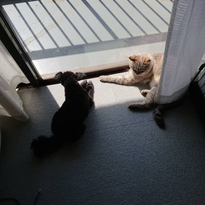 Ccb333fa de57 4550 b712 848081147c33 1556427930575