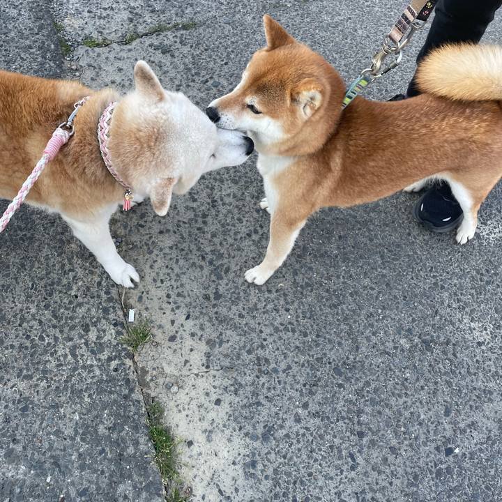 Ccb335a4 2fb3 4d43 b0da 574ccc18647a 1680570373281