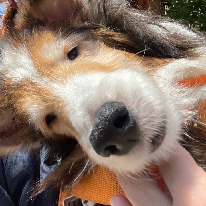 Ccb33aa6 d115 494c bfe1 91bee1c3de15 1654345957804