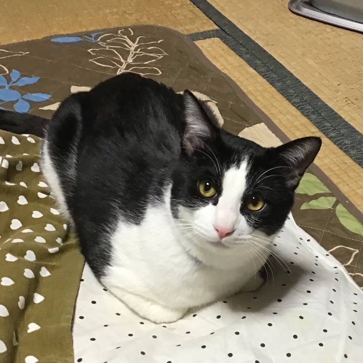 Ccb3855d c76e 41fd 82ca f3dc87d82db4 1645181321059