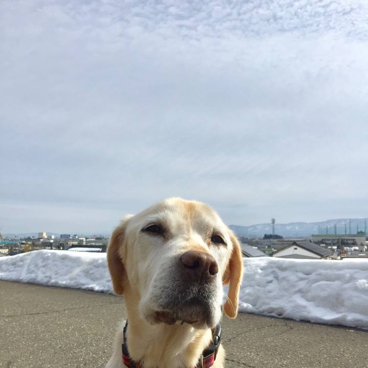 Ccb38afa 5b28 4a65 8243 edc3a8fdcb18 1580113747578