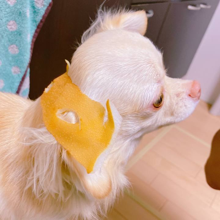 Ccb3901e 90c8 43b8 9dd1 8ec2cb71df87 1636875390510