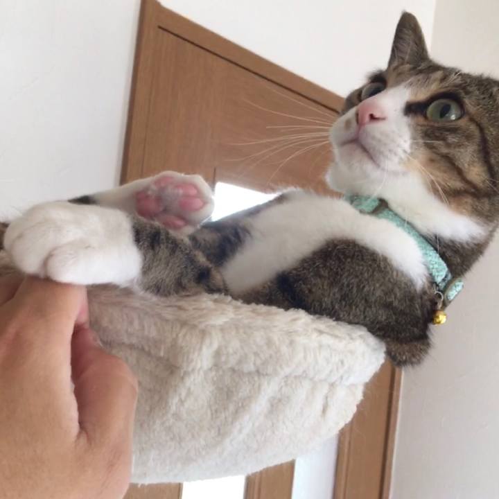 Ccb39563 f575 4e68 8f56 9b24f64d33b2 1697603525016