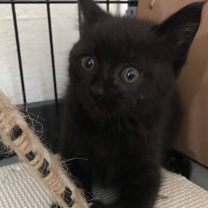 Ccb3a737 fe36 4e3f b874 d88cfbbb6598 1657766818906