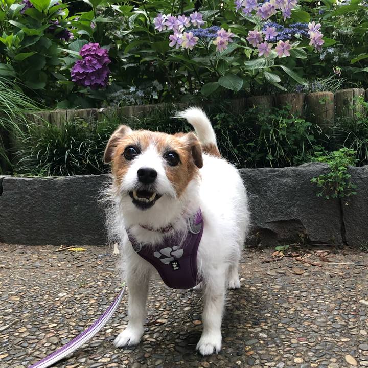 Ccb3ab60 08ea 4b0c a333 60c18c0c731c 1698409748401