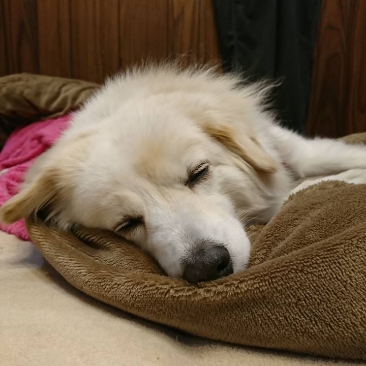 Ccb3b60f 19c1 45fc bb69 cb7f5cdc1c74 1550673730565