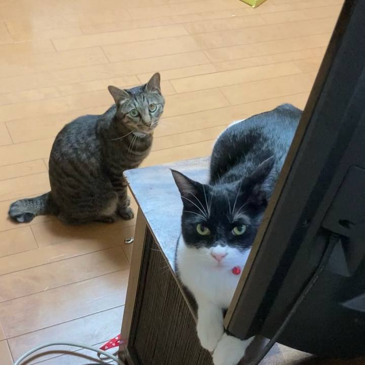 Ccb403b6 5a5b 48fb 90ff f717f5b9d53f 1625983184885