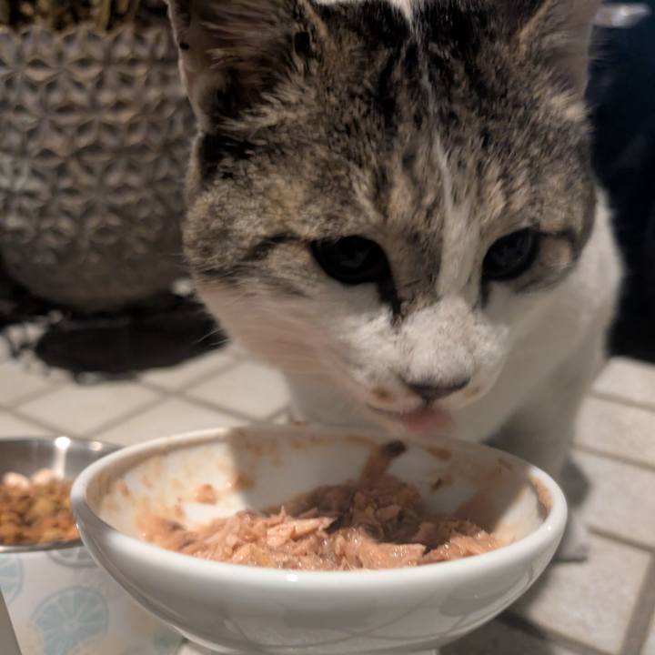 Ccb40975 a0d4 44a3 8bcb 2c4ea2029bc0 1767022168146