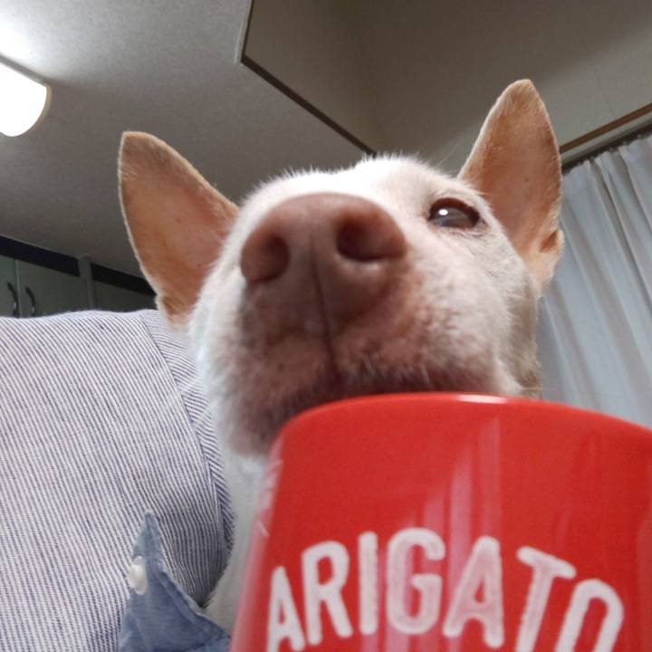 Ccb40ed3 3774 451a 96ee b4abc8e15e57 1560121552731