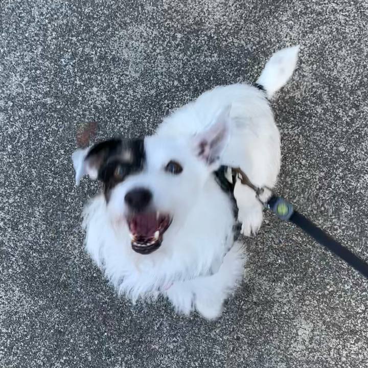 Ccb422d1 1620 42a9 a066 df8a446a5f0a 1693006020784