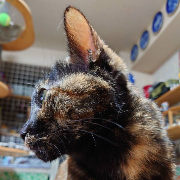 Ccb42912 77e6 4226 844f 8889a49dccdd 1706262994411