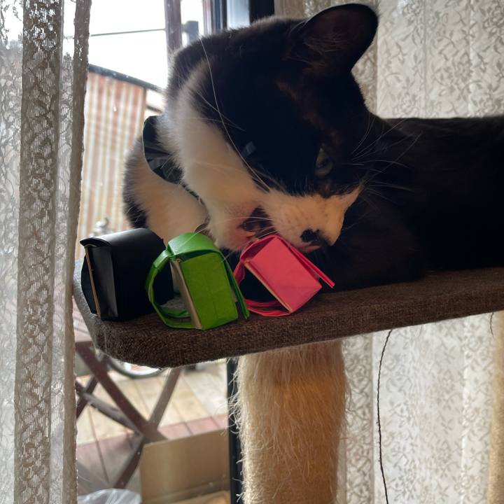 Ccb433fb 0d8d 4c0d 81d2 80a300666abd 1743118908969