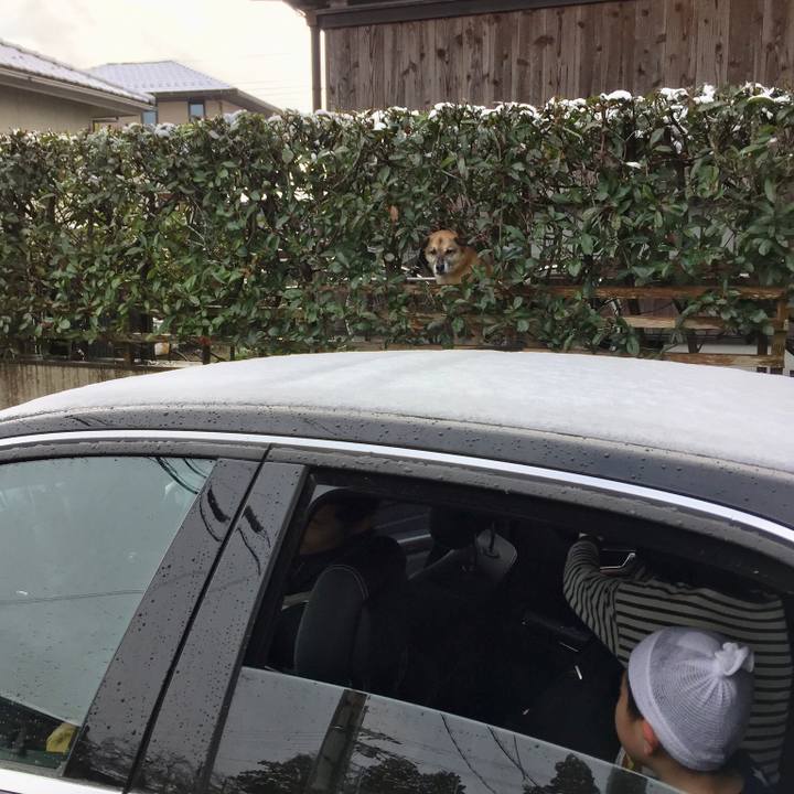 Ccb43a7e 9a1c 4bac be11 923433c18ccc 1515030535536