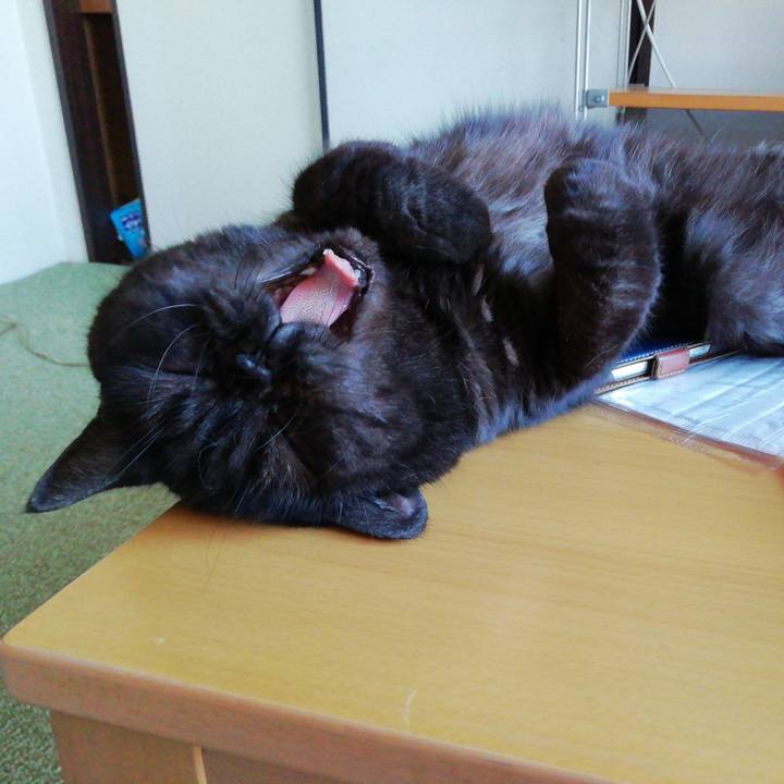 Ccb48b78 04b9 455e b962 41d6c3b2f46c 1627030035030