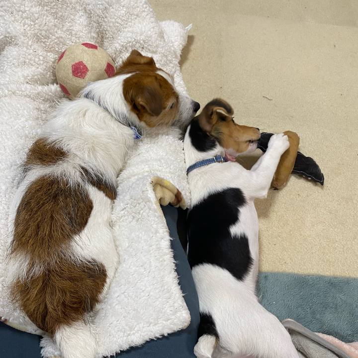 Ccb4ba2d bc41 4320 a289 e572a747241a 1745333125634