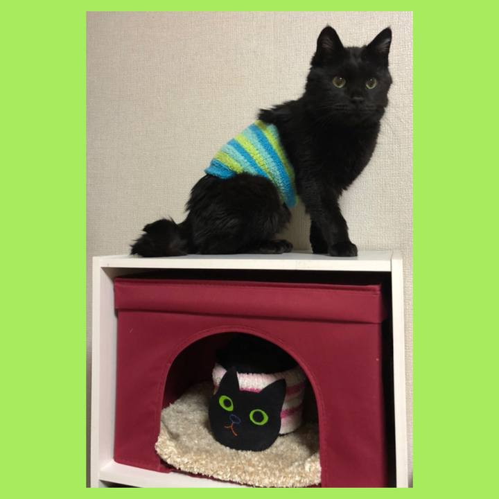 Ccb4c735 617d 4ef6 b35a 51262acbaa2f 1607597737474