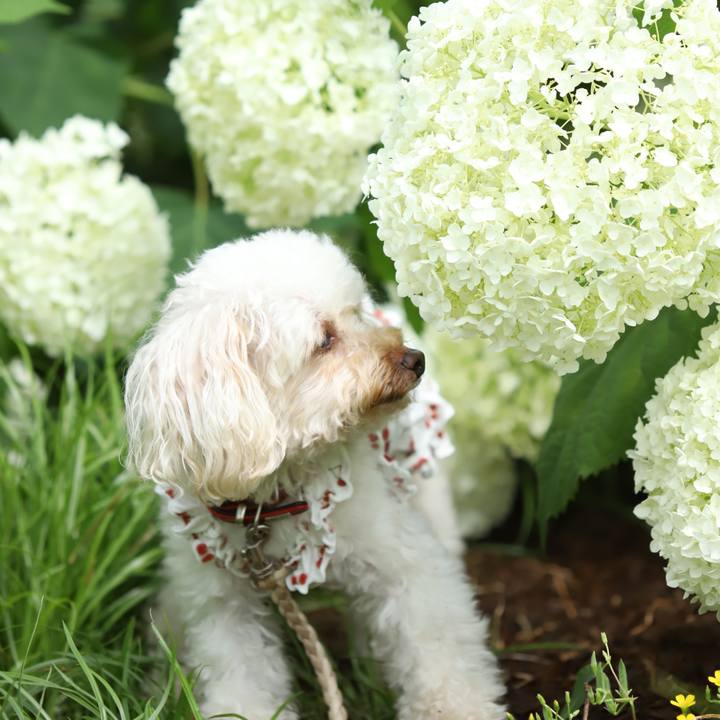 Ccb4c7ae 9301 4bda 86df 87508f4dc9b4 1624076433723