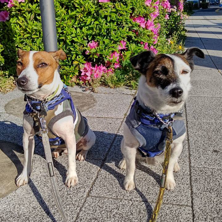 Ccb4d358 fceb 44ea b4dc cba4ad2bf552 1619043776456