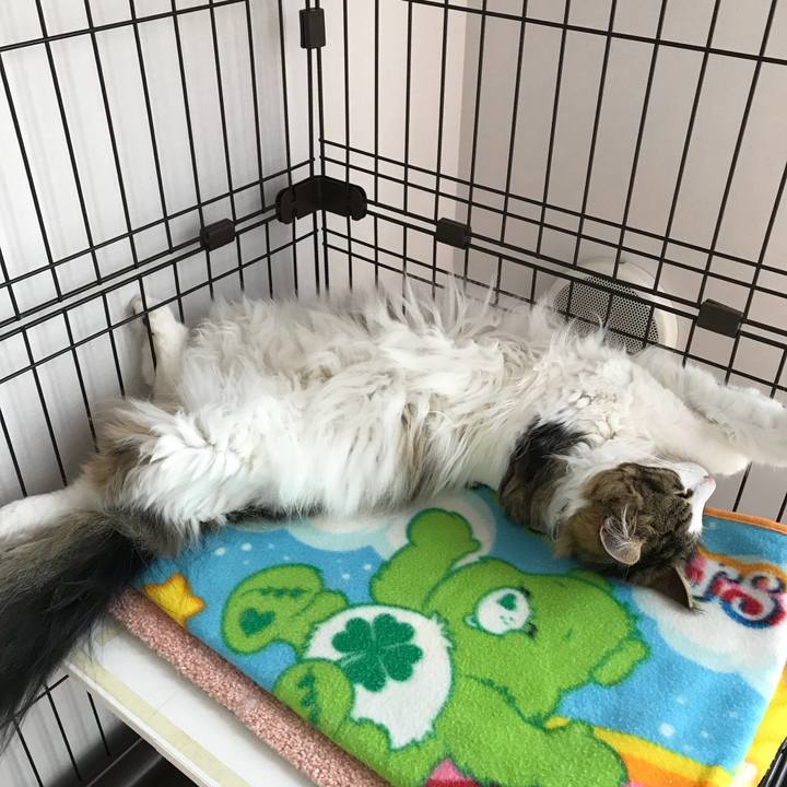 Ccb4e5dc 074c 4bb9 95e1 f940f4bad8c6 1530661620062