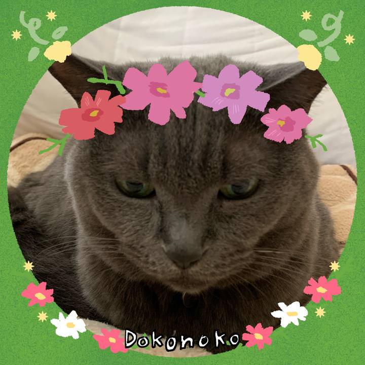 Ccb4fd75 9087 47a6 ba62 7438ee085296 1727128221097