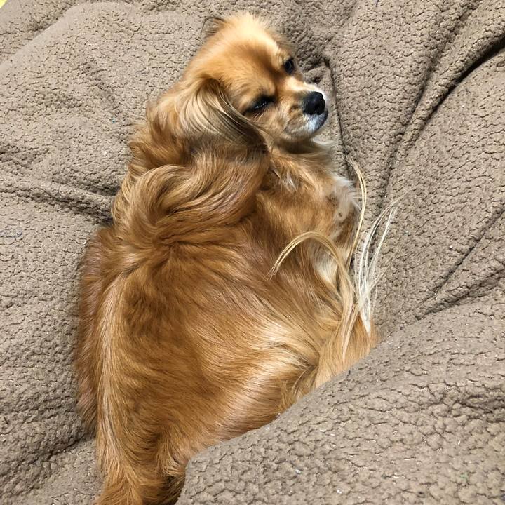 Ccb515d9 7ebf 4f92 bec3 64bc7cb3cbdf 1555278799401