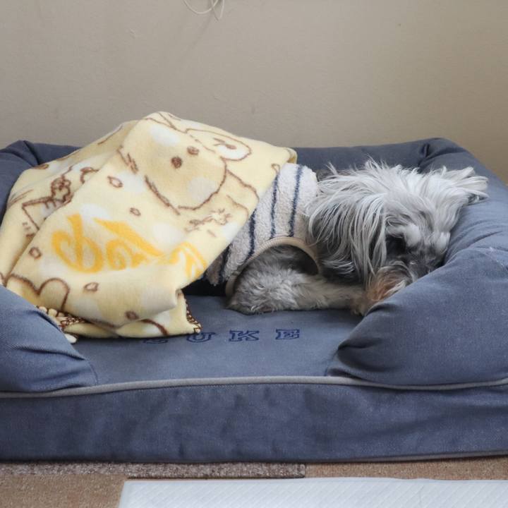 Ccb55424 5794 4a55 bb74 0541833ce59f 1761176575106