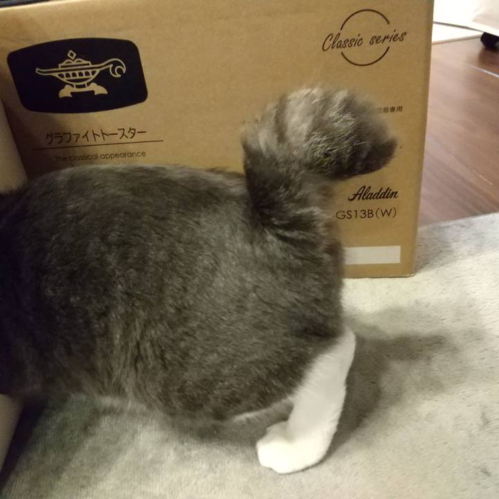 Ccb583e2 8fa5 4773 bb56 50a4dffced59 1604870688629