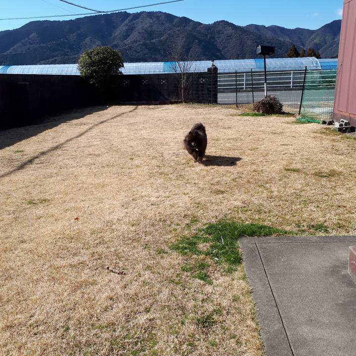 Ccb5b4dd ace3 44df b6f6 208b5b9486b5 1517976600709