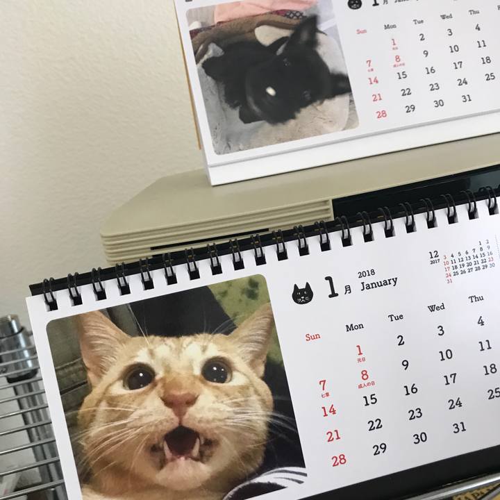 Ccb5bbd0 6f10 4bc0 ab8d ba26d4016dbc 1516500240547