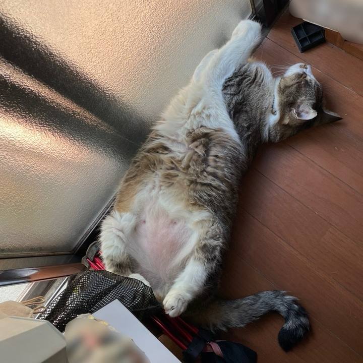 Ccb5da53 df7a 4e04 9c0b bd3344aeee5f 1755484148216