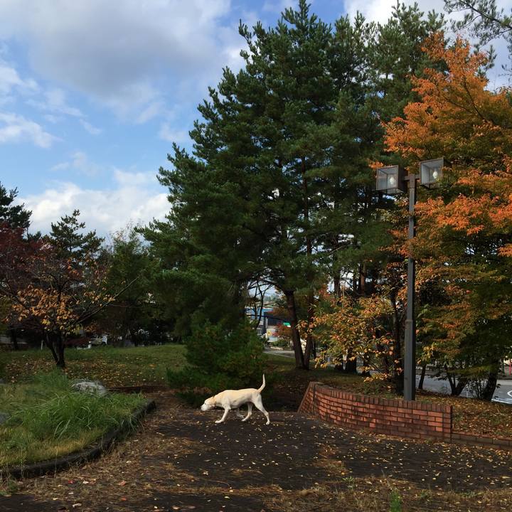 Ccb6086d 334b 4311 9e15 6e4cfed222fc 1600258781153