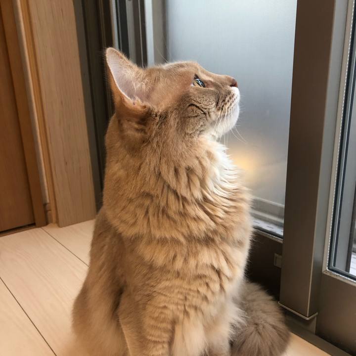 Ccb65f93 4b09 429d 9cd4 ff823ab9b123 1607901204650