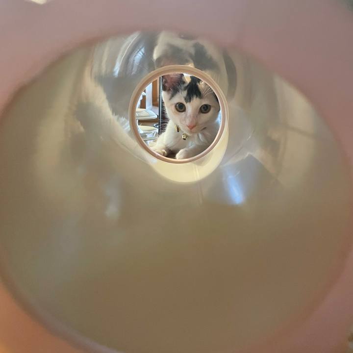 Ccb660ab 8c66 44c6 91b7 c360f647fb03 1659155709633