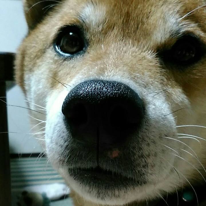 Ccb68389 f2bc 471f a3af d2c211d03ee8 1571651426082