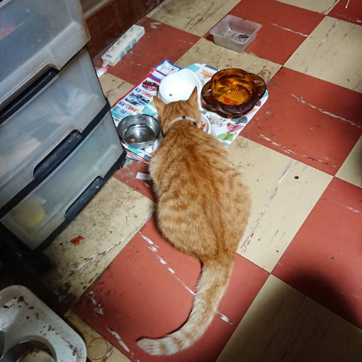 Ccb6bd0c bd38 4276 9855 790eb9bc695e 1595100176550