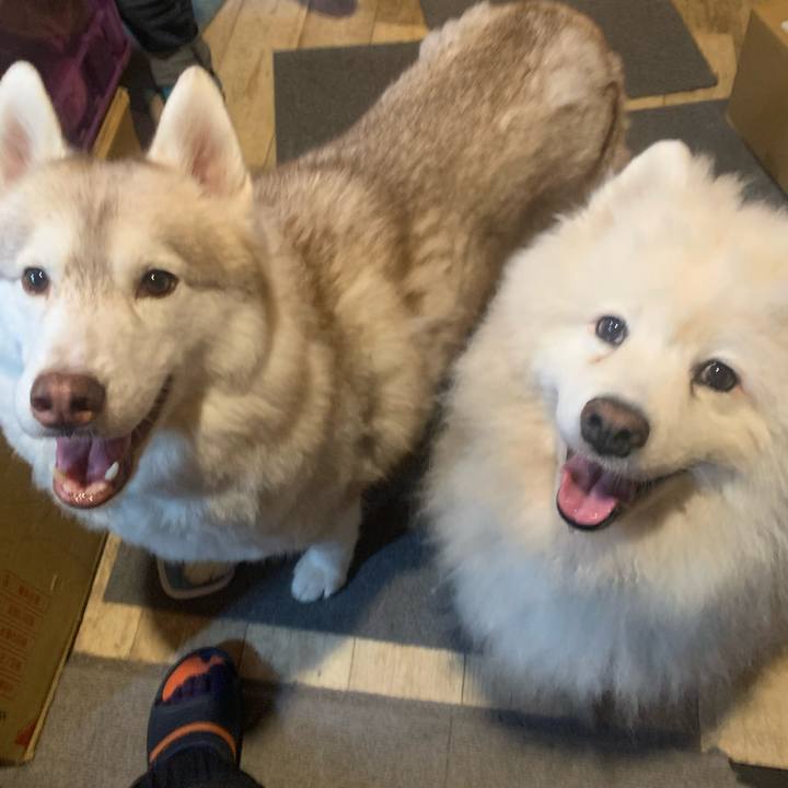 Ccb6d504 7400 4286 bcee 339fdcd9279d 1726973794233