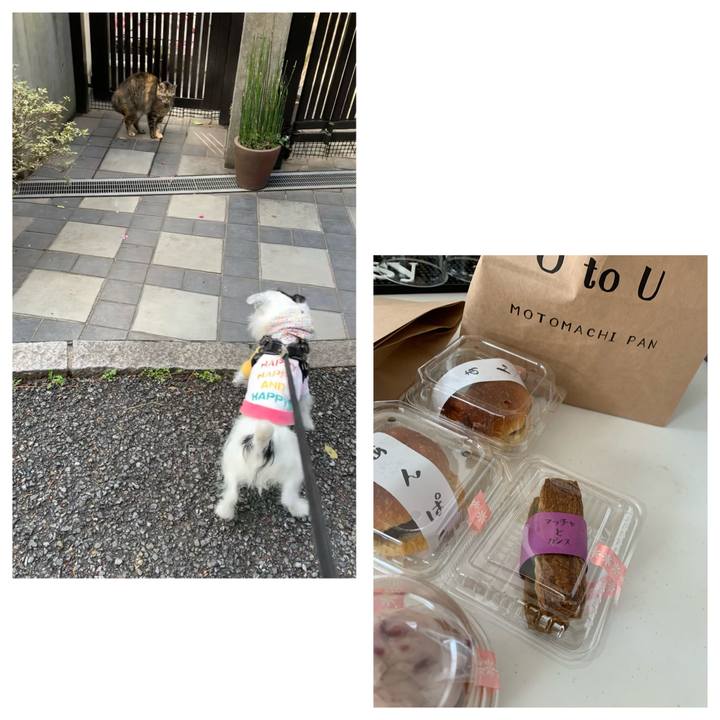 Ccb6dafc a14b 41e9 9863 547aa7b90d41 1647752566313