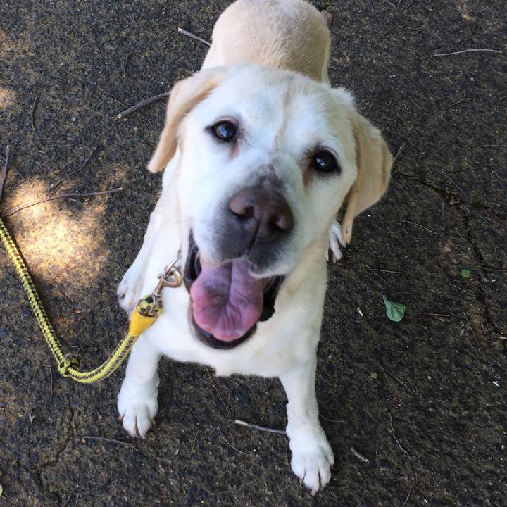 Ccb74807 5422 4918 9144 5bddacfd907f 1526950102620