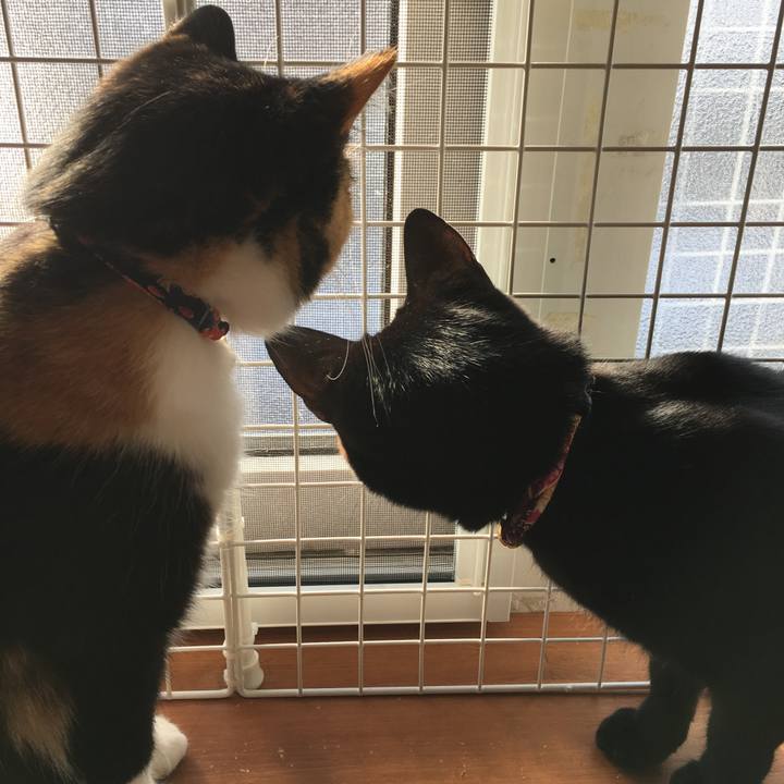 Ccb775cb 9e7b 4f90 9156 3c670055ee67 1515041803320