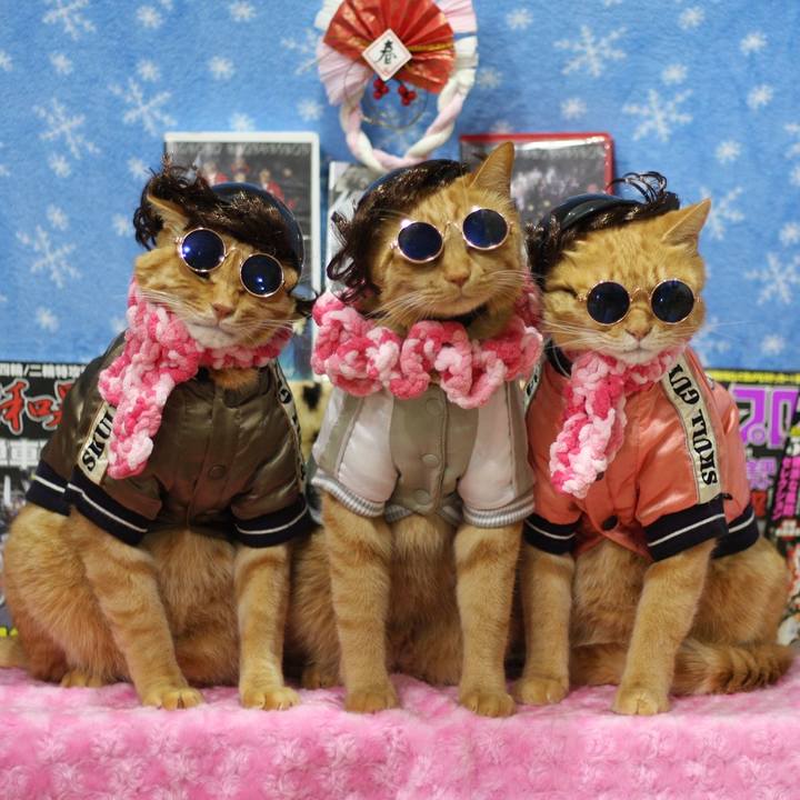 Ccb78976 556c 4326 afb2 41b25199de21 1609479675831