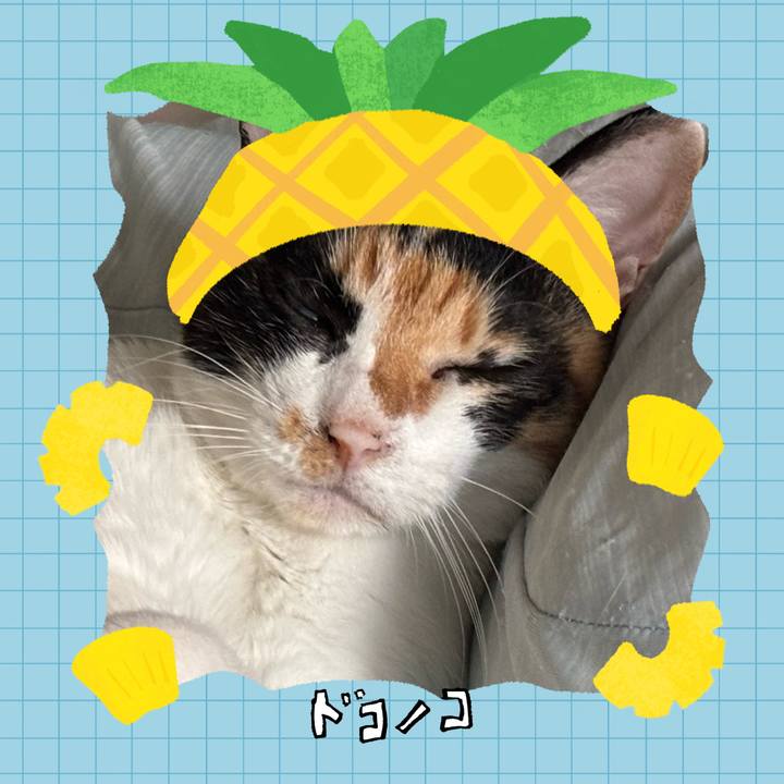 Ccb79724 f038 4417 b8e7 ffac41138cd6 1783813752070