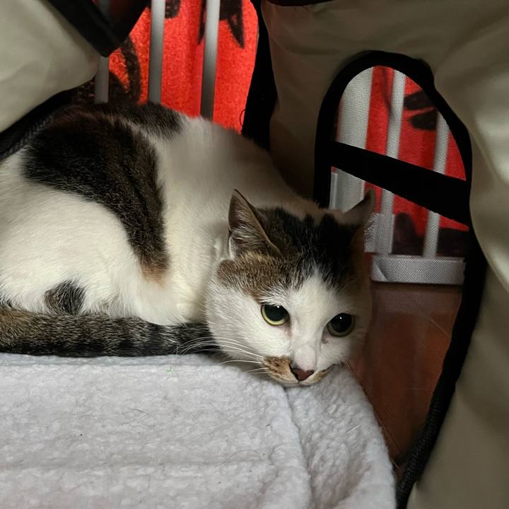 Ccb7c878 6a6c 46d9 97c5 aee270d5f957 1672455313884