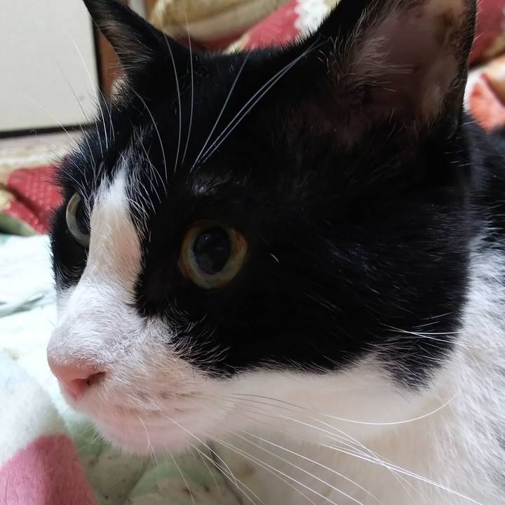 Ccb7f897 b058 4b2b b08c 50856929d5a3 1563400216708