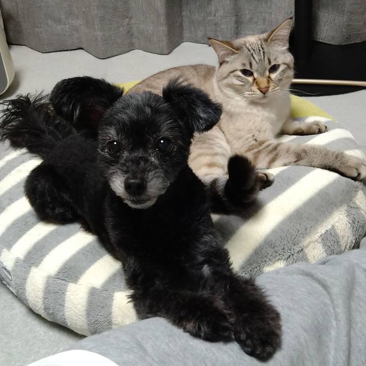 Ccb80b6c 644e 46f0 a715 b05cd2656ae2 1670329648980