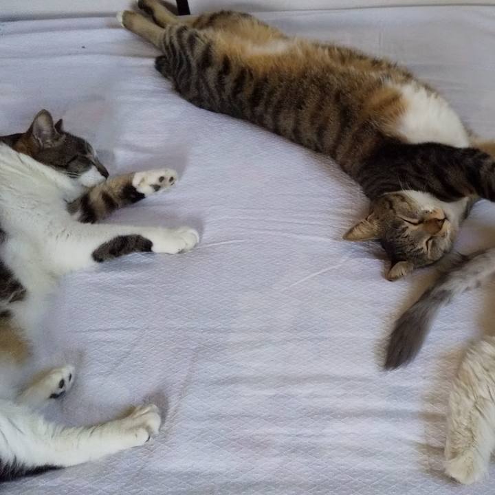 Ccb810d9 64b7 4b78 9b3d 0ede0cf2aa96 1649747349864