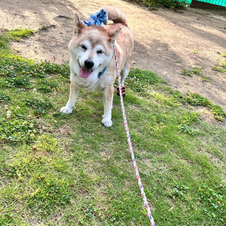 Ccb8881b fcae 45c4 bd29 a32d03388e7f 1753221880524