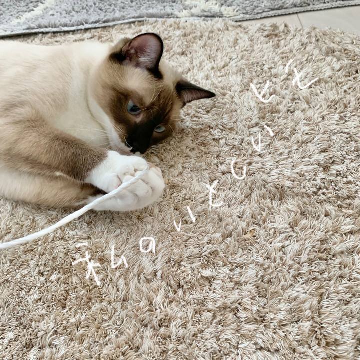 Ccb8ef70 27c5 416d 9366 478cd6e3b79d 1695941565596